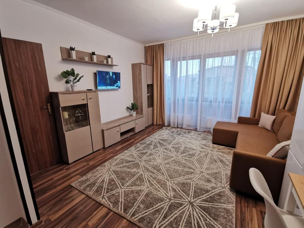 Charming Apartment In Villa Iasi Extérieur photo
